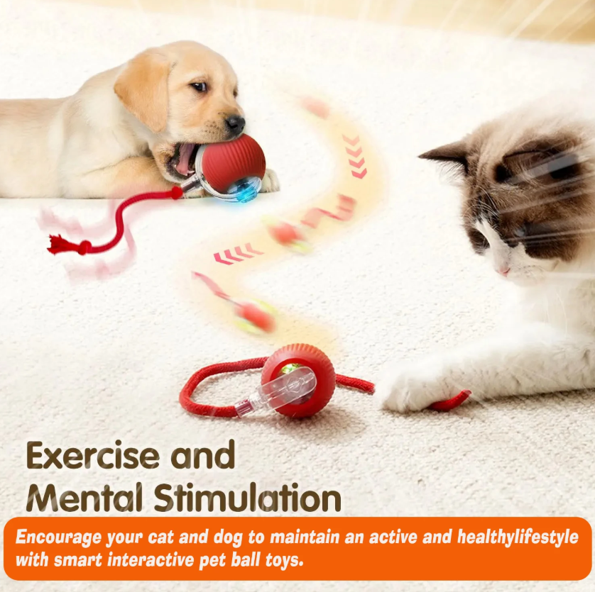 Smart Motion Pet Ball - Fur Buddy Friends™