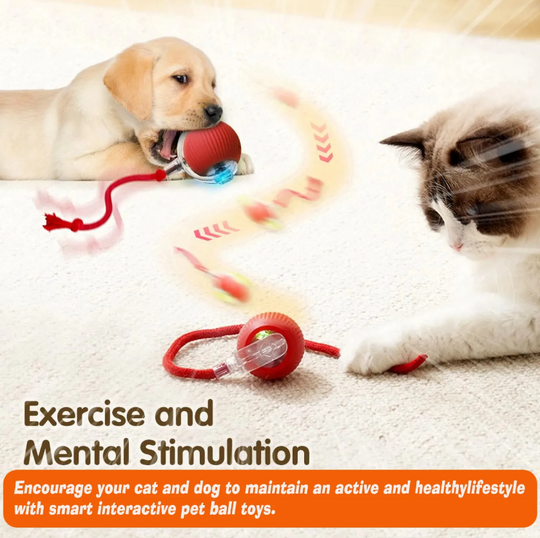Smart Motion Pet Ball - Fur Buddy Friends™